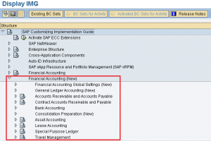 How To Activate New General Ledger Accounting In SAP