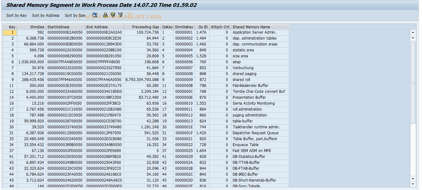 SAP TCode AL13 - Display Shared Memory (Expert Mode)