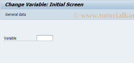 SAP TCode CMV2 - Change variable