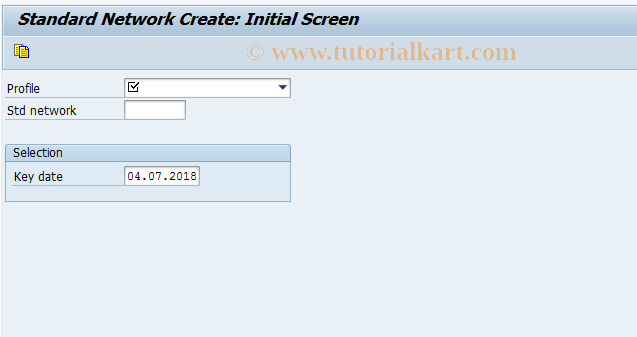 SAP TCode CN01 - Create Standard Network