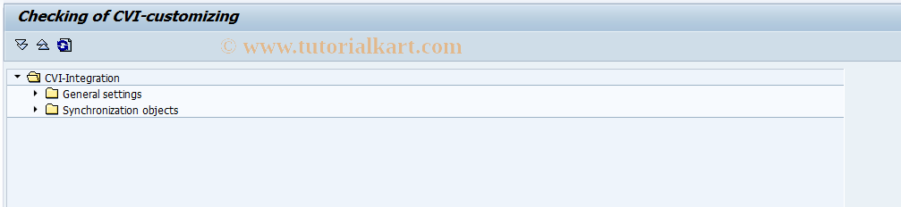 SAP TCode CVI_CUST_CHECK - Check of the CVI customizig