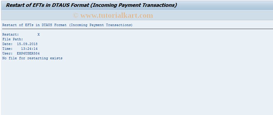 SAP TCode F9PINDE2 - Restart: Import EFT