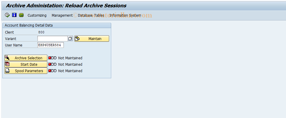 SAP TCode F9TM - Reloading Account . Bal. Detail Data