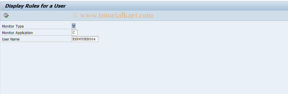 SAP TCode FCOM_RULE_USER_CV - Display Rule for a User