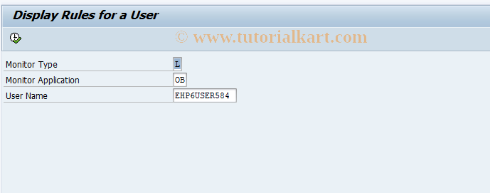 SAP TCode FCOM_RULE_USER_OBL - Display Rule for a User