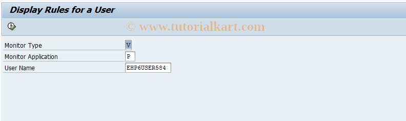 SAP TCode FCOM_RULE_USER_PV - Display Rule for a User