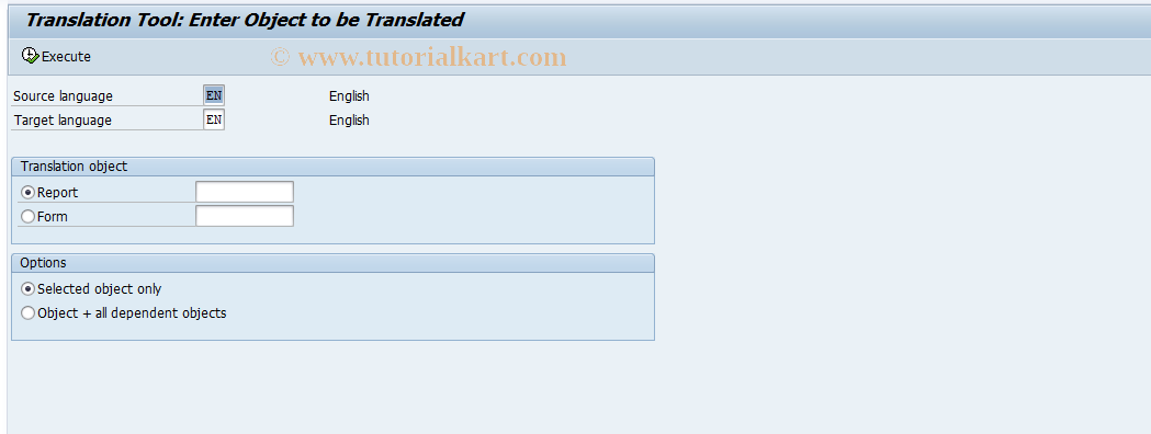 SAP TCode IMCT - IM Summar: Translation of drilldowns