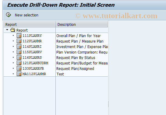 SAP TCode IMD0 - App.req: Execute report