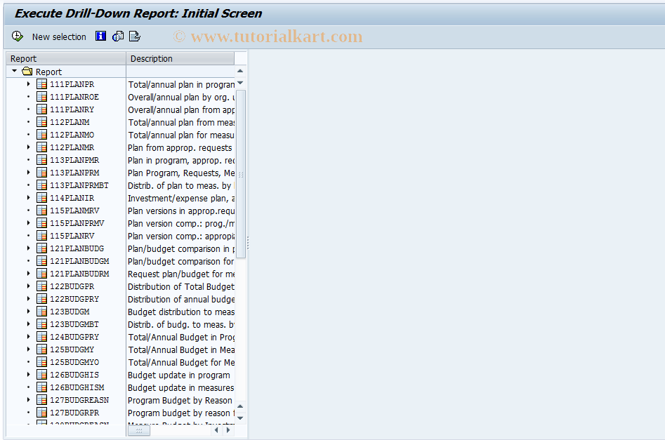 SAP TCode IME0 - Execute Invoice  Program Report