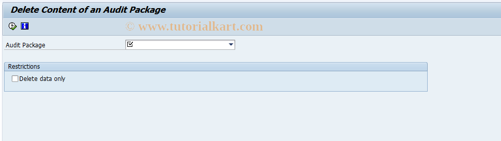 SAP TCode IWP_WP_DELETE - Delete Content of an Audit Package