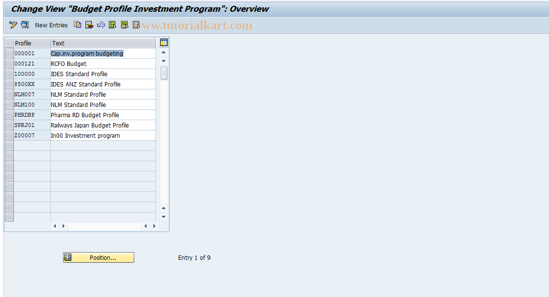 SAP TCode OIB1 - Maintain inv.program budget profile