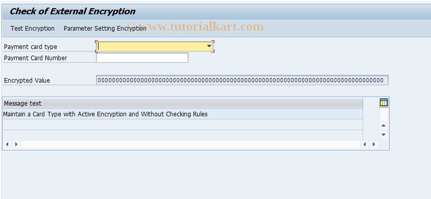 SAP TCode PCA_CHK - Check of External Encryption