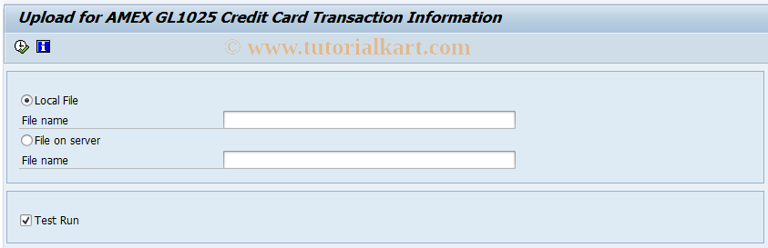 SAP TCode PRCC_GL1025 - AMEX GL1025 Credit Card File