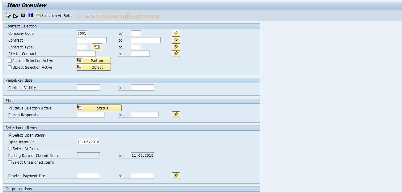 SAP TCode REISRADOCITEM - Item Overview