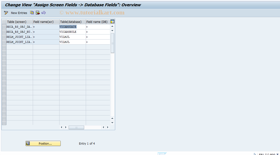 SAP TCode RELML50011 - L5: Assignment Screen Field->DB Field