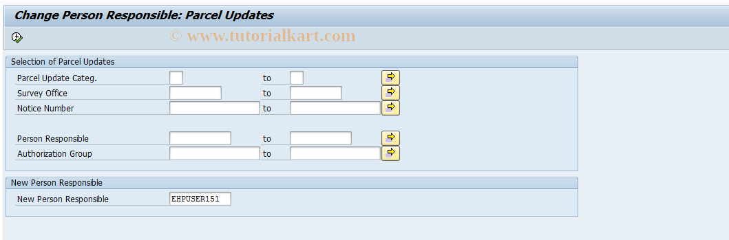 SAP TCode RELMRCRP - Change Resp. Person: Parcel Updates