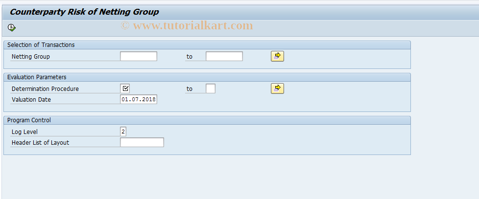 SAP TCode RKLNT - Counterparty Risk of Netting Group