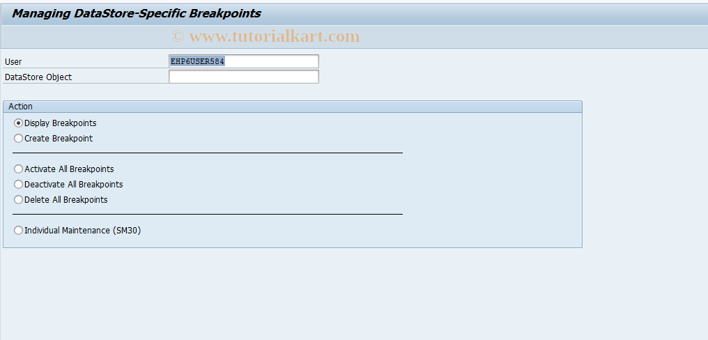 SAP TCode RSODSO_BRKPNT - DataStore-Specific Breakpoints