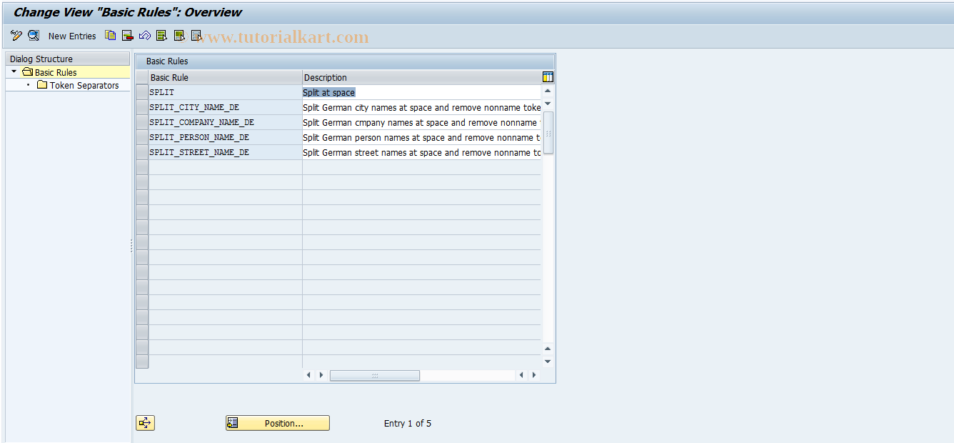 SAP TCode SIC_NORM_TOKEN_CFG_M - Maintain Configuration of TOKENIZE