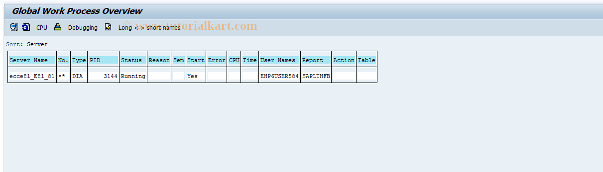 SAP TCode SM66 - Systemwide Work Process Overview