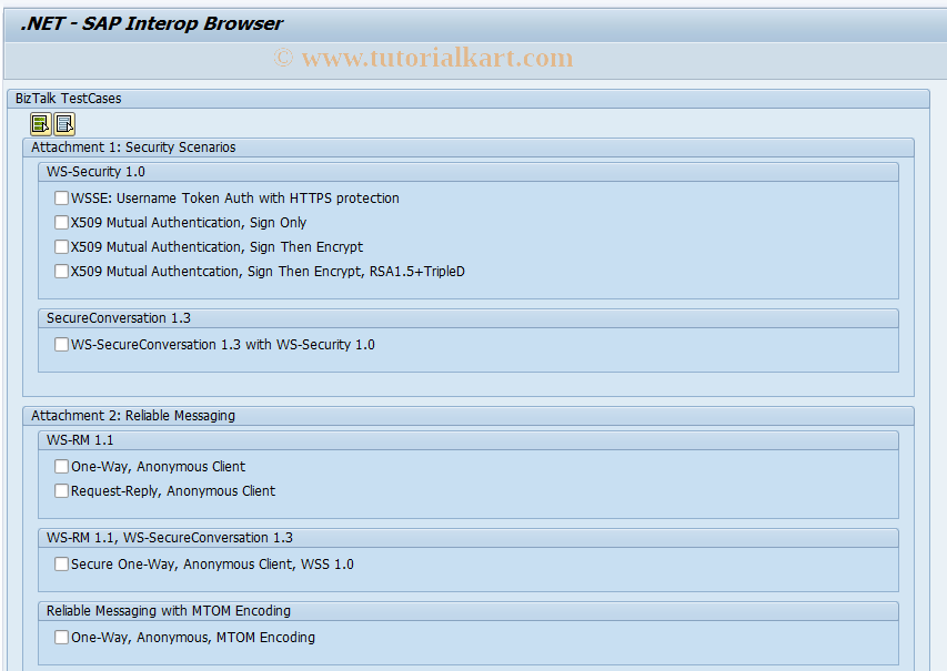 SAP TCode SRT_BIZTALK_TEST - .NET - SAP Interop Browser