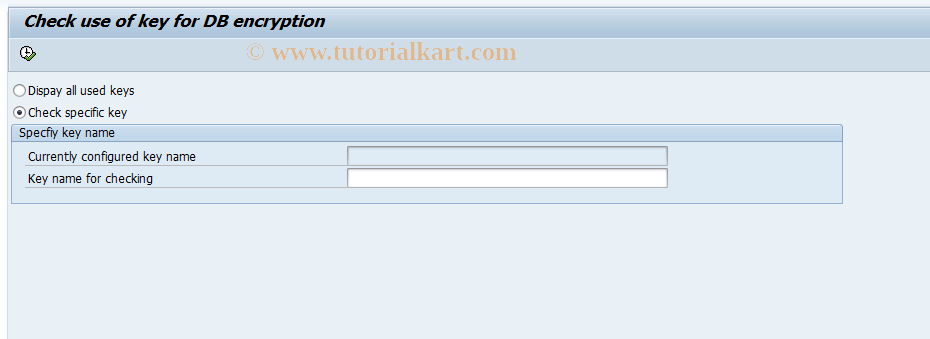 SAP TCode SXMB_CHK_ENCKEY - Check Use of key for DB encryption