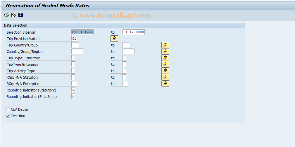 SAP TCode S_AHR_61009190 - IMG Activity: SIMG_OHR0079