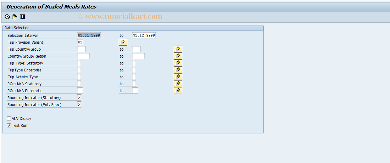 SAP TCode S_AHR_61009379 - IMG Activity: SIMG_OHR0080