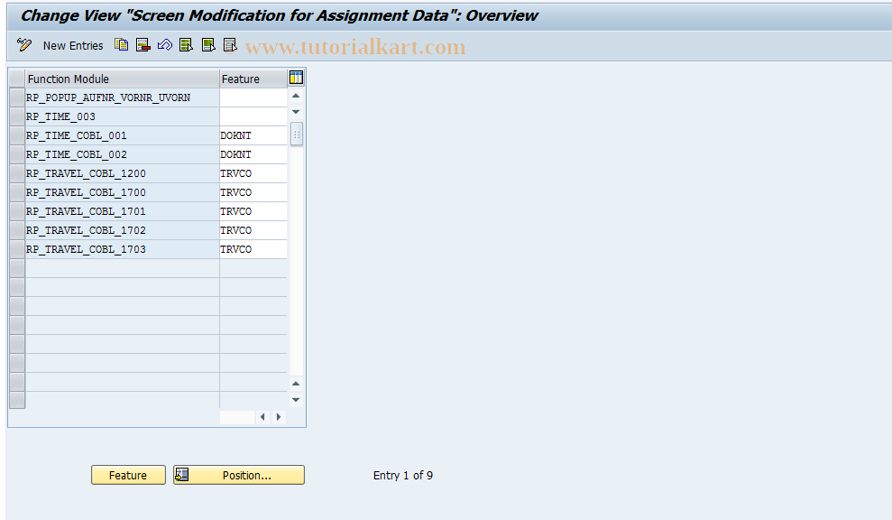 SAP TCode S_AHR_61009744 - IMG Activity: SIMG_OHR0074