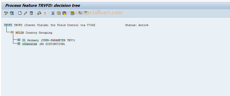 SAP TCode S_AHR_61009775 - IMG Activity: SIMG_OHR0060