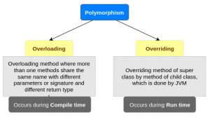 polymorphism java quiz