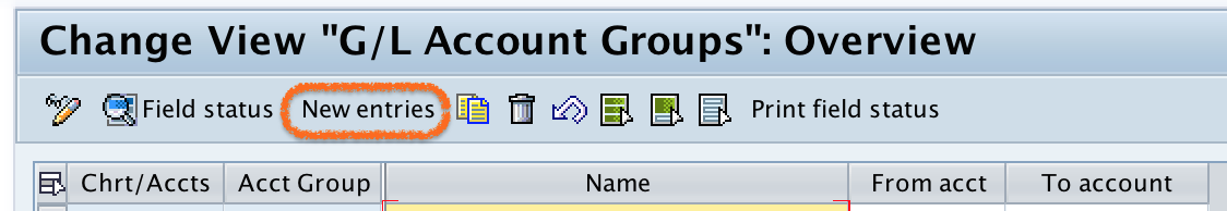 GL Account Groups new entries in SAP