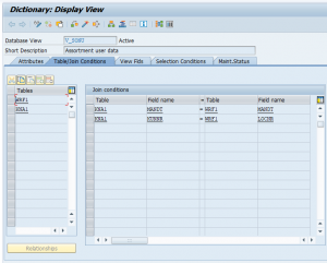 SAP ABAP Views