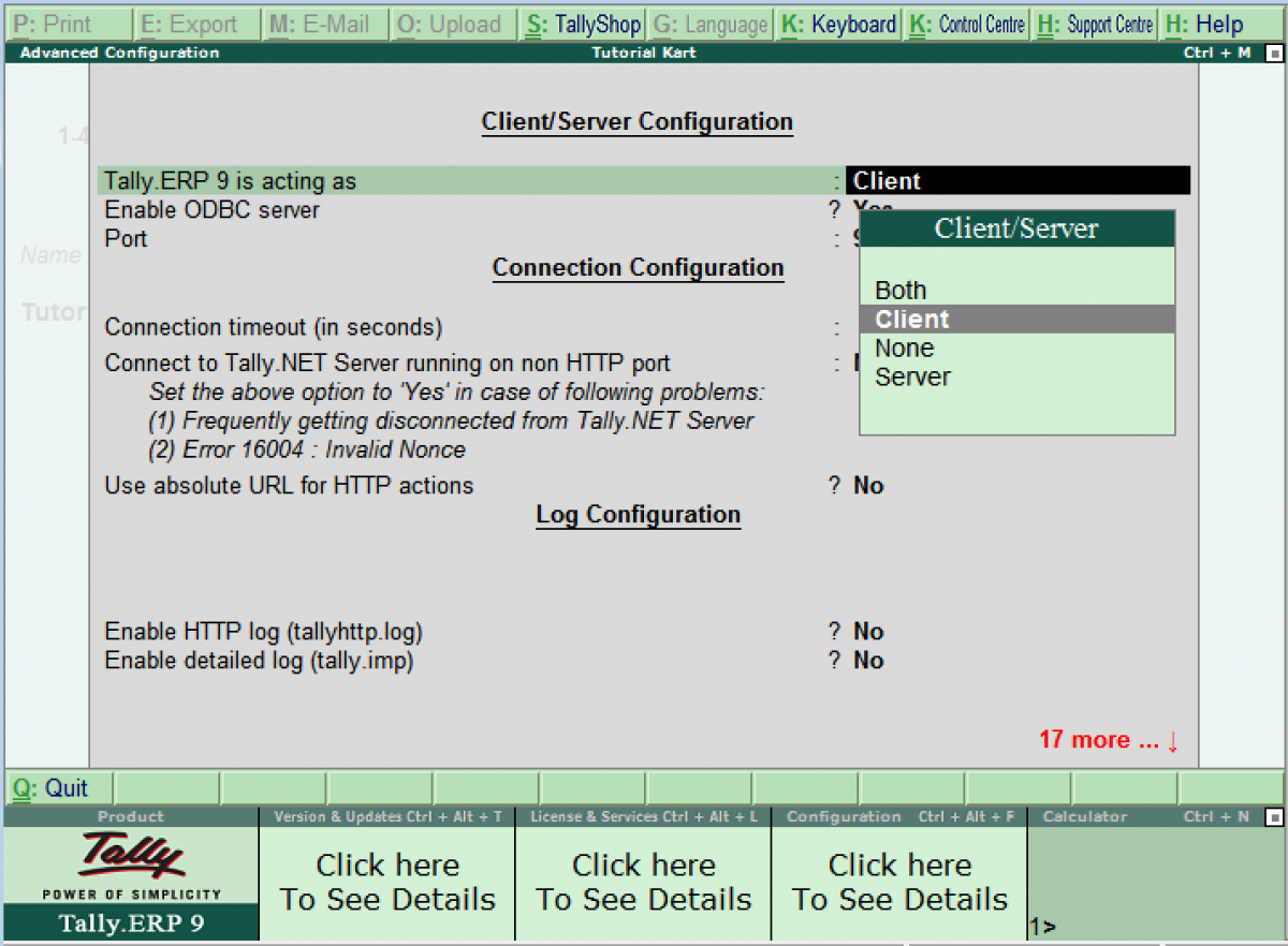 Advanced configuration. Tally ERP 9. Параметр Tally. Tally SDI. Absolute URL.