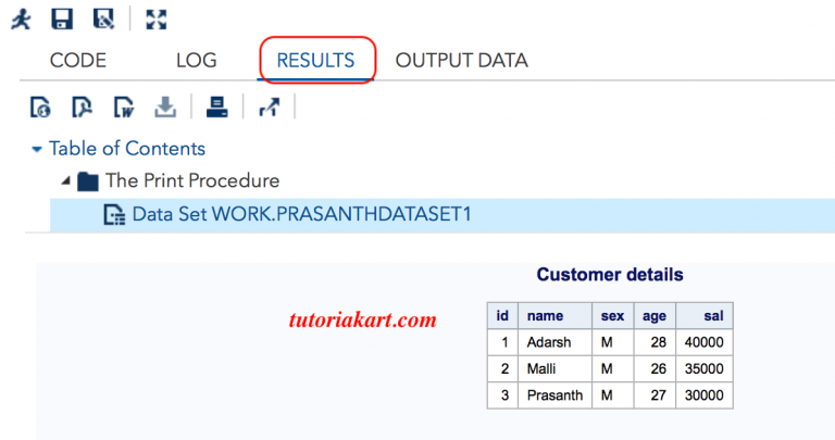 sas-infile-statement-read-raw-data