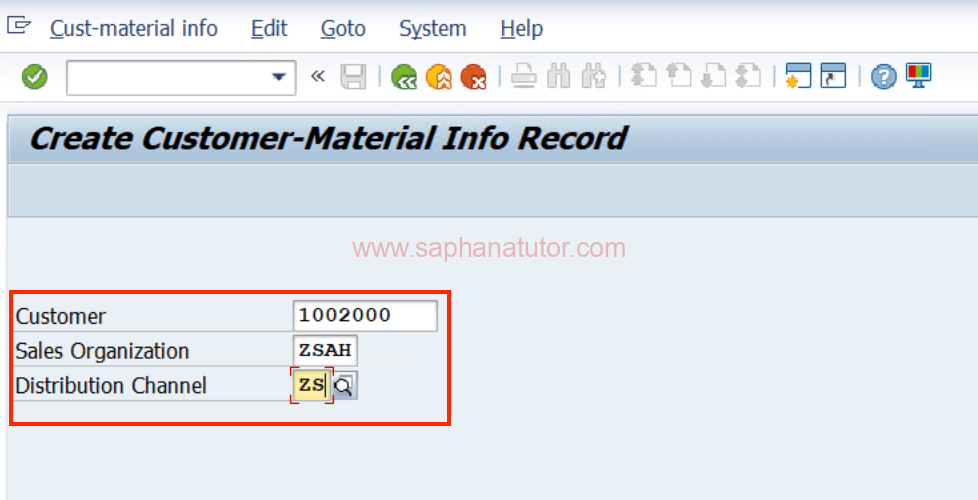 Customer Master Info Record (CMIR) in SAP SD