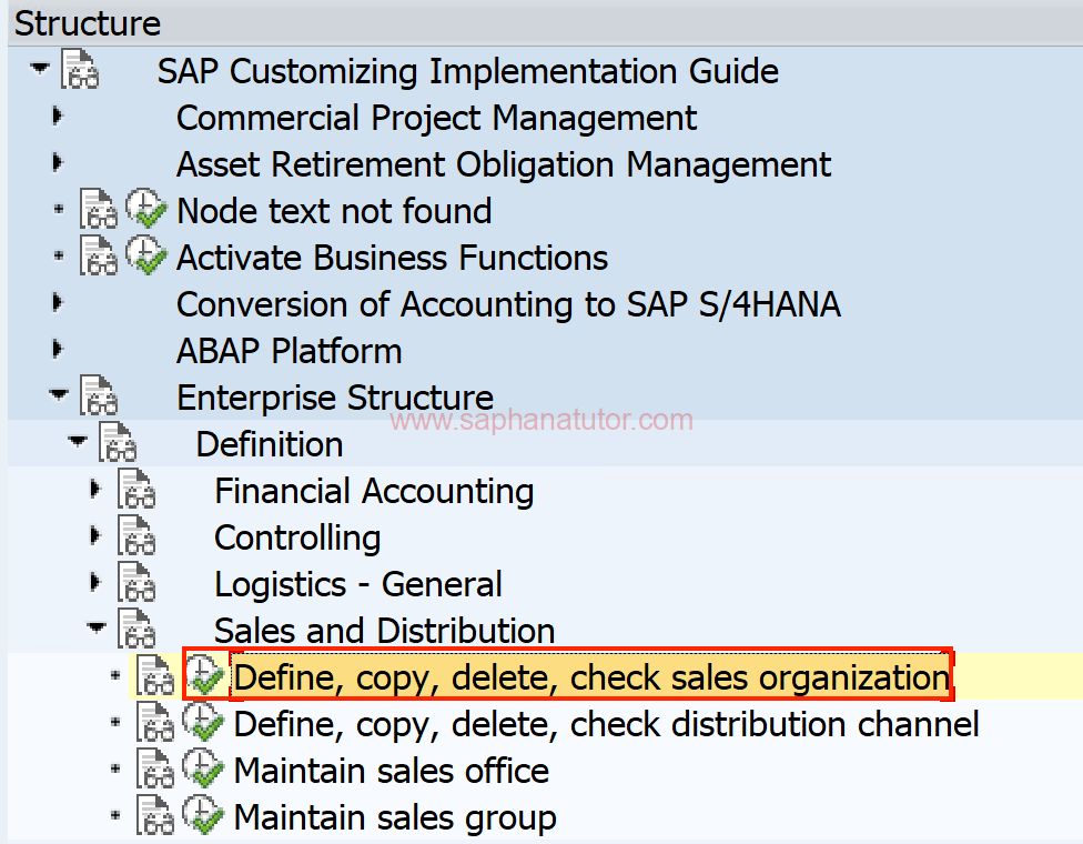 Creating a Sales Organization in SAP SD