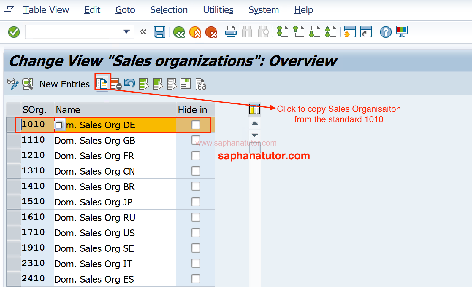 Creating a Sales Organization in SAP SD