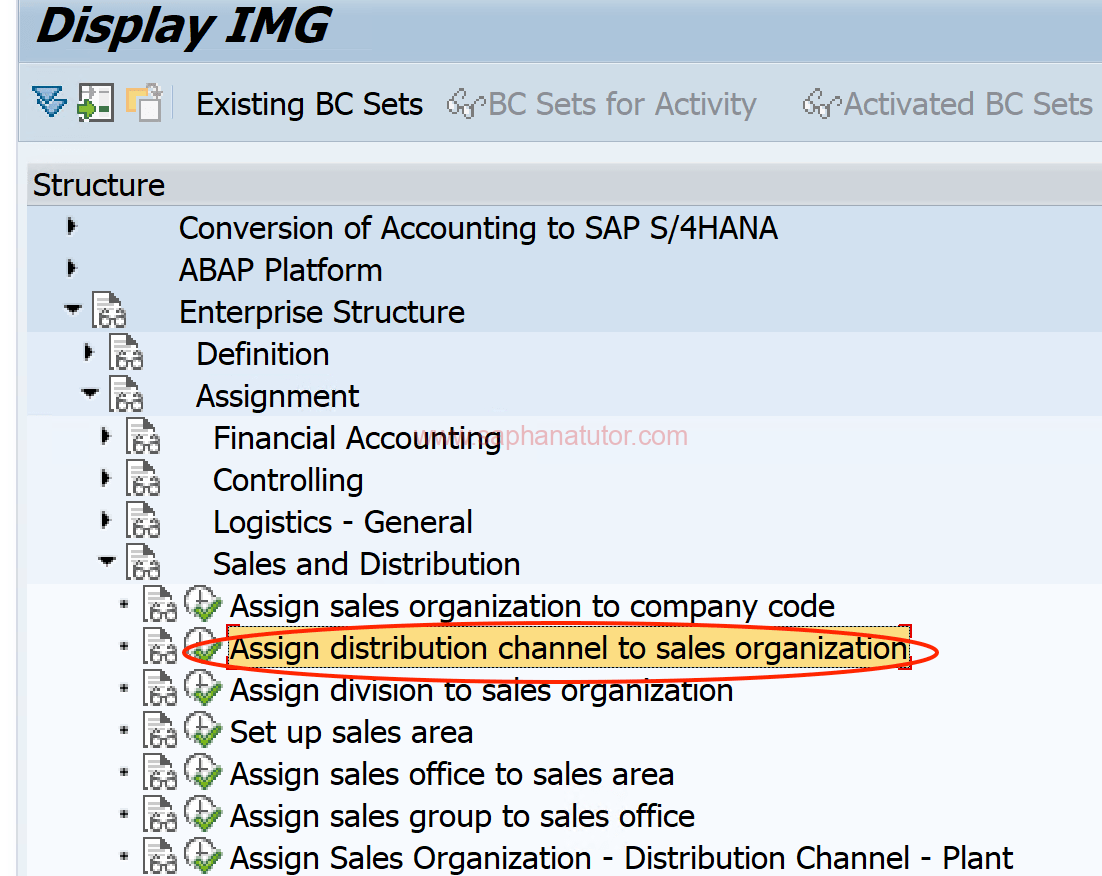 Assign the Distribution Channel to a Sales Organization