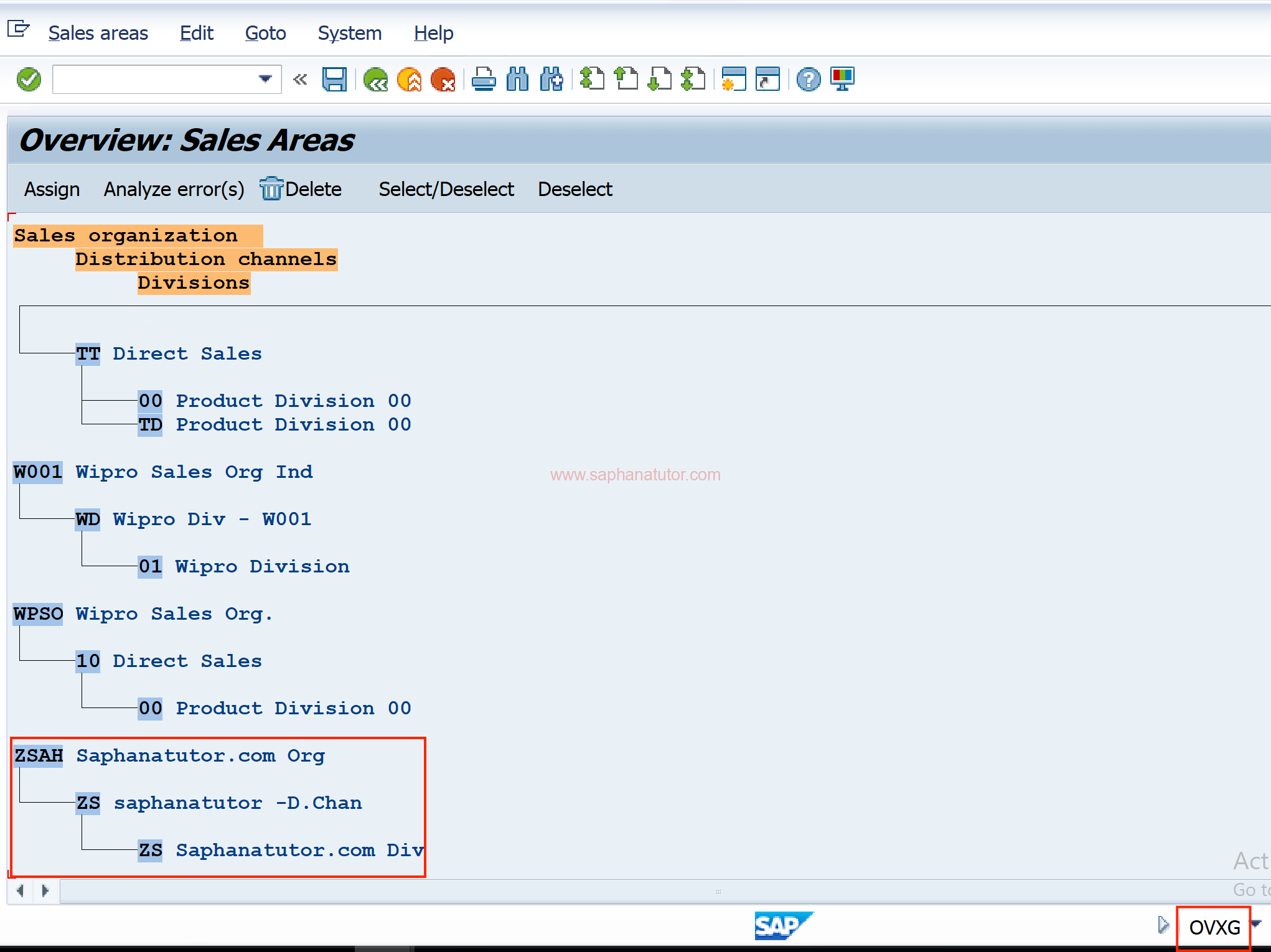 Sales Areas Setup in SAP SD (OVXG) | SaphanaTutor