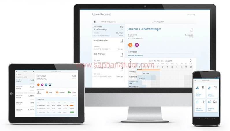 SAP SD in S/4HANA - Optimize Sales & Distribution | SaphanaTutor