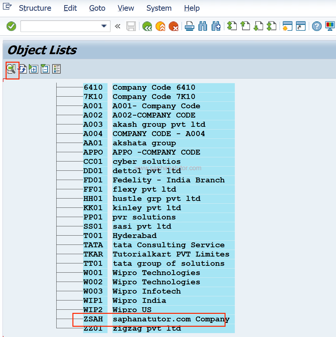 How to Create Your Company Codes in SAP Like a Pro