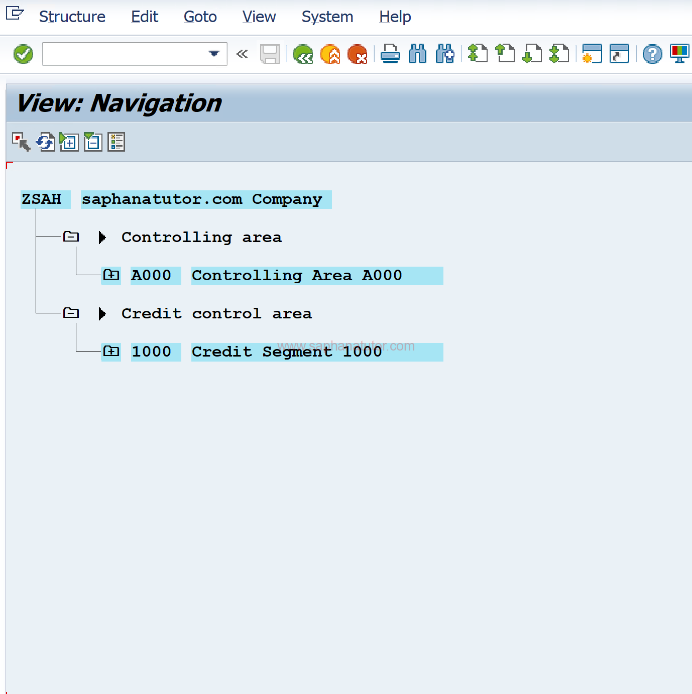 How to Create Your Company Codes in SAP Like a Pro