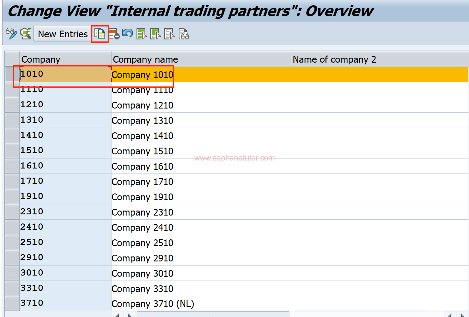 How to Create Your Company in SAP Like a Pro