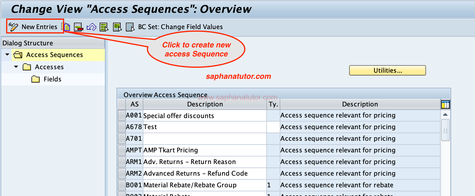 Configuring Access Sequences in SAP SD - V/07