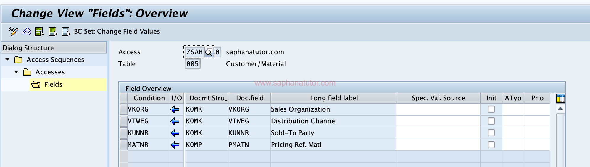 Configuring Access Sequences in SAP SD - V/07