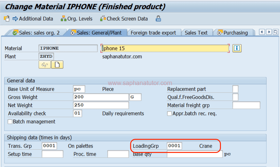 How to find Loading Group in SAP?