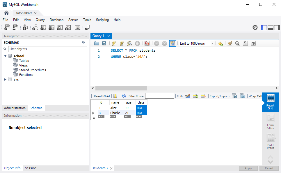 Java MySQL - SELECT Row - Select Specific Rows Based on a Condition - Verification in MySQL Workbench