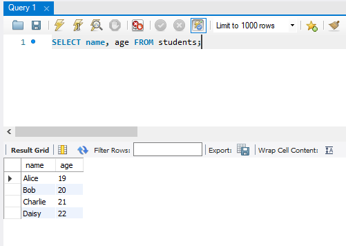 Java MySQL - SELECT Rows - Select Specific Columns - MySQL Workbench Verification