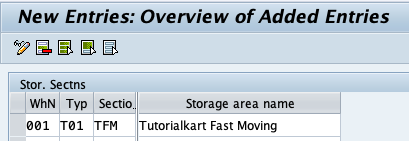 Defining Storage Section in SAP WM